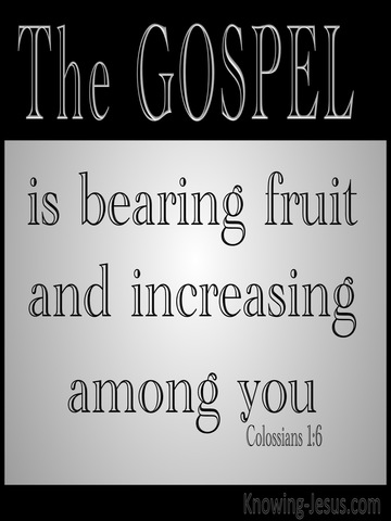 Colossians 1:6 The Gospel Which Has Come To You (gray)